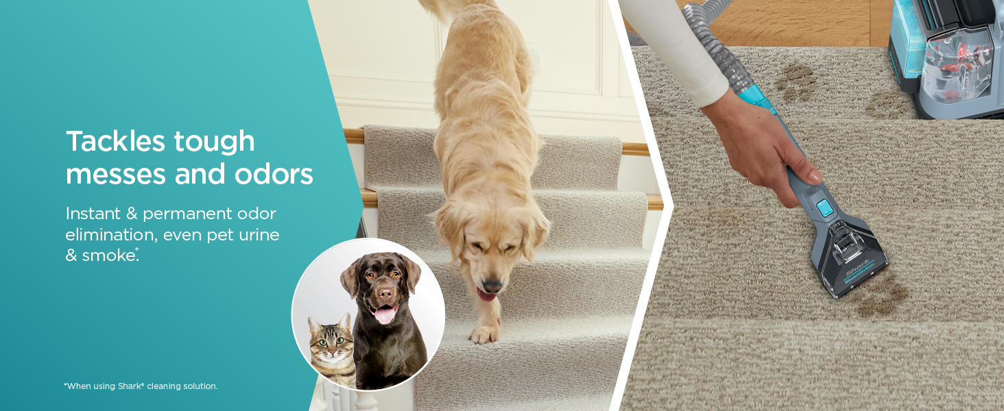 Shark StainStriker Portable Carpet Cleaner 