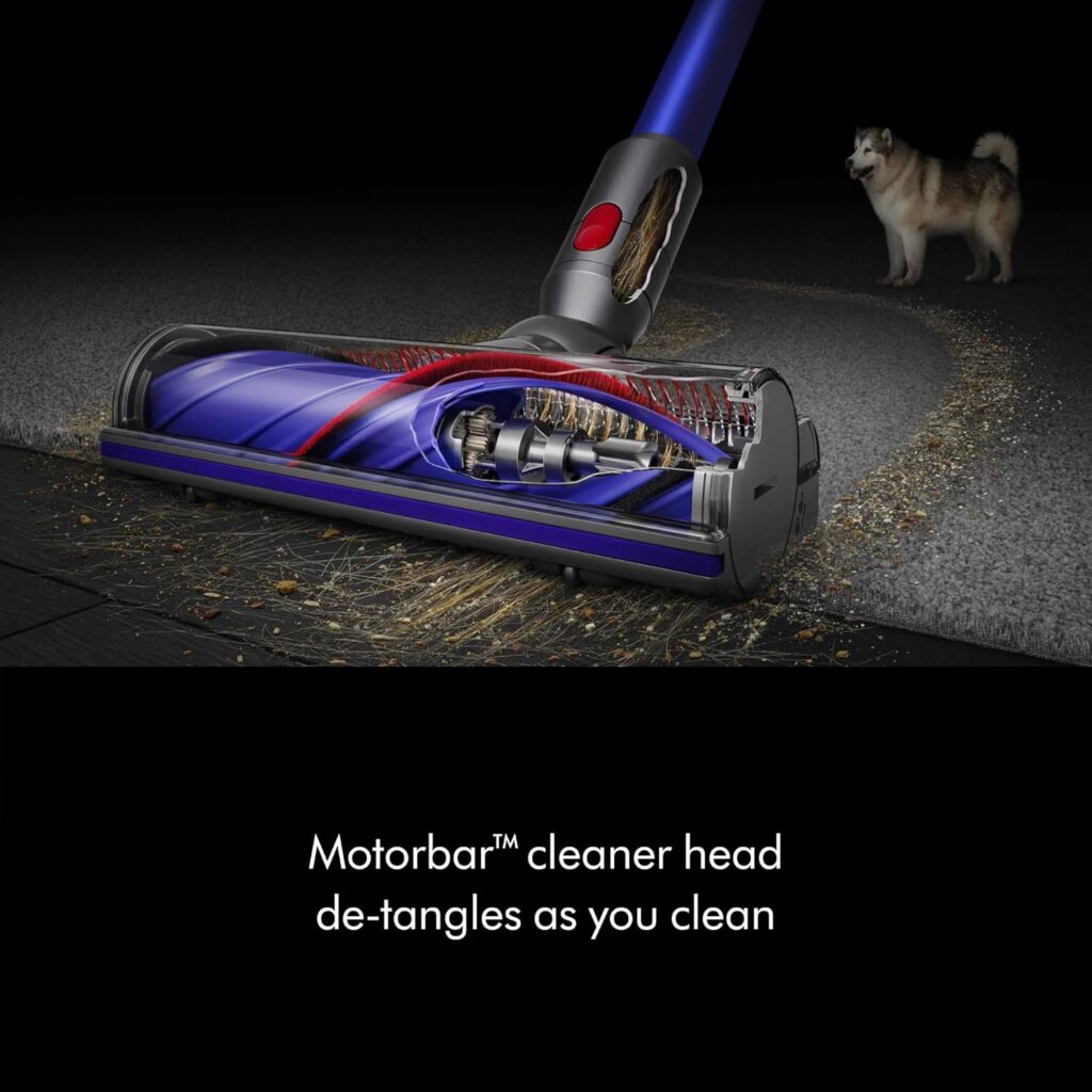 Dyson V11 vacuum