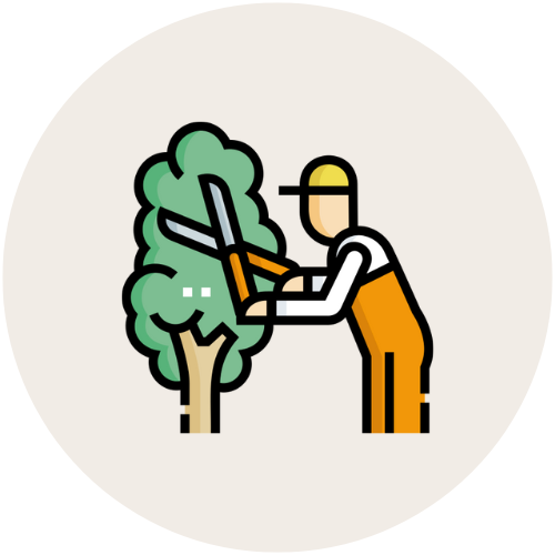 Garden Cleaning